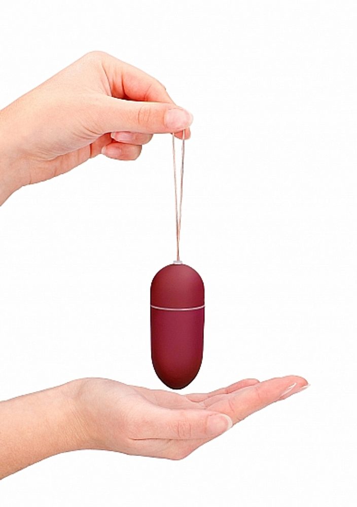 Shots Toys 10 Speed Remote Vibrating Egg Big