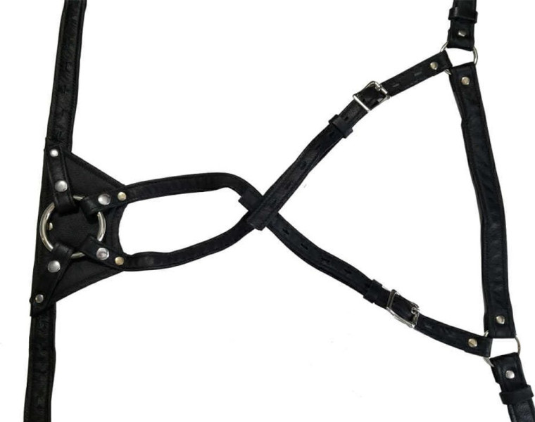 Harness with Double Penetration Strap-On