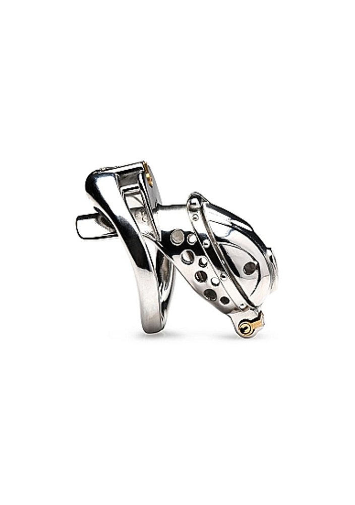 Master Series Deluxe Locking Chastity Cage