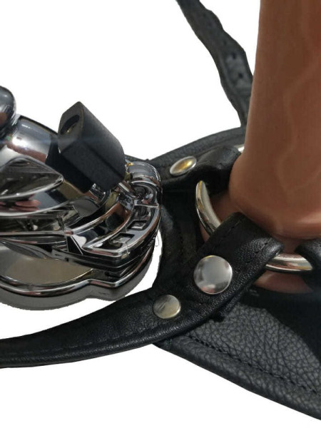 Harness with Double Penetration Strap-On